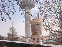 -茶颜悦色(岳麓山顶店)
