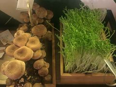 -大头椰·椰子鸡火锅(桂林万象城店)
