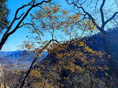 -鹫峰国家森林公园