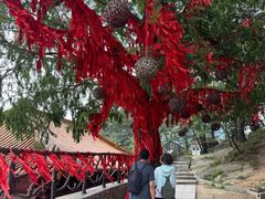 -沂蒙山旅游区云蒙景区(蒙山国家森林公园)