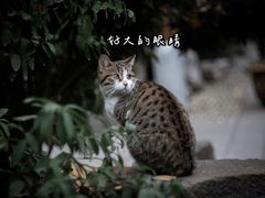 -龙华寺