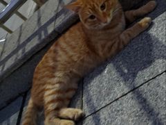 -四里河滨水生态公园