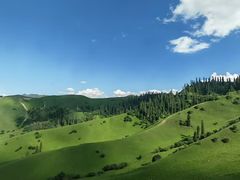 -新疆那拉提国家旅游度假区