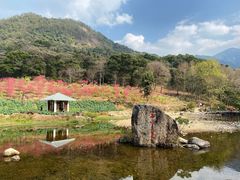 -广州市石门国家森林公园