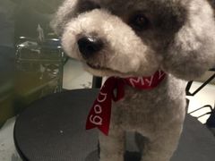 -Oh My Dog宠物沙龙(伊珊娜皮毛护理店)