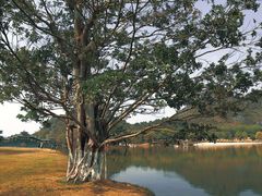 -南宁花花大世界景区