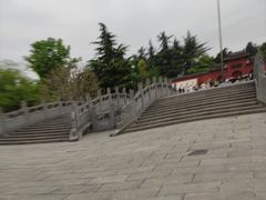 -神州牡丹园