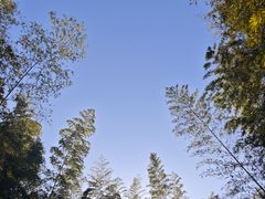 -天目湖涵田度假村