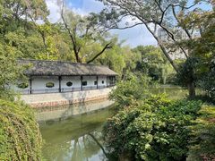 -红梅公园