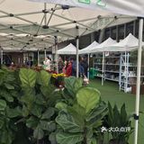 小朋友放电好去处—哈泥天空农场
