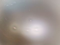 -青蓬蒸汽海鲜·深圳老字号·团建聚会(壹方城店)