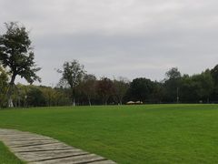 -长田漾湿地公园