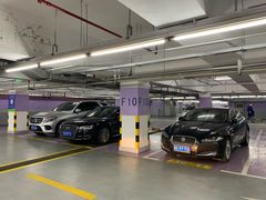 -上海浦东国际机场T1航站楼-P1停车场