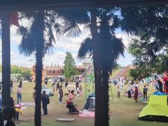 -黄海国家森林公园