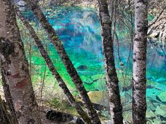 -叠溪松坪沟景区