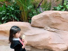 -杭州开元森泊度假乐园