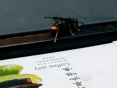 -雕刻时光咖啡馆(交大店)