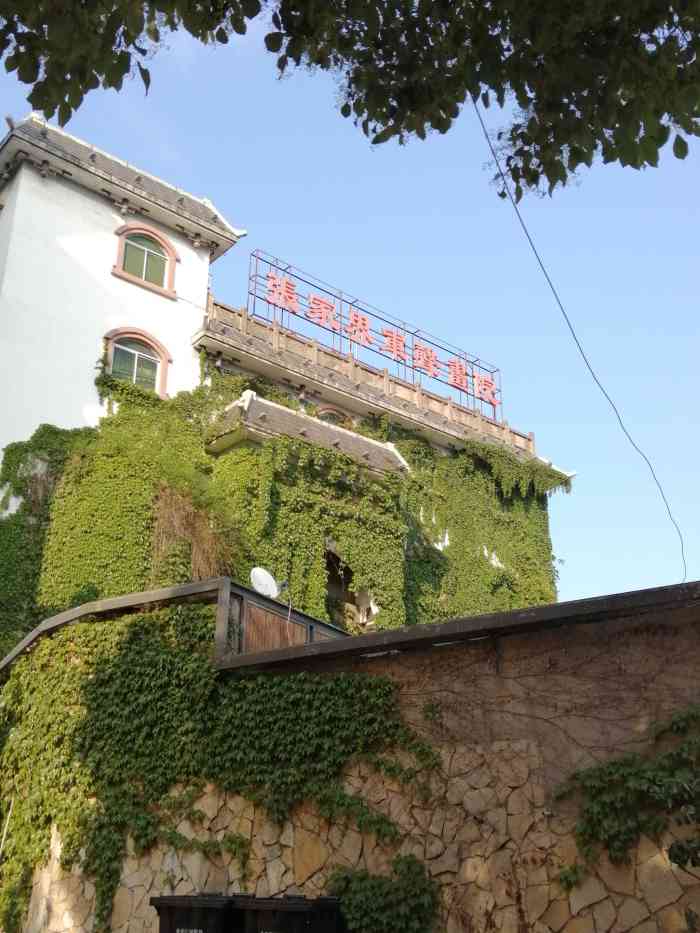 军声画院-"张家界本土画家李军声凭借扎实的美术功底,.