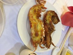 天伦王朝饭店-北京王府井天伦王朝酒店
