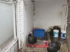 -J Create城市露营咖啡·简餐·宠物(上海动物园店)