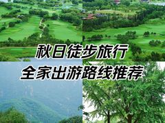 -大岭沟猕猴桃谷风景区