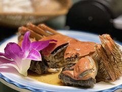 -金龙·打边炉(南京西路店)