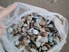 -六鳌翡翠湾滨海度假景区
