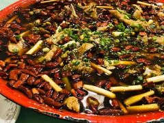 -东吴霸王兔(松青路店)