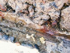 -天津东疆湾沙滩景区