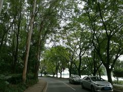 -南国桃园旅游度假区