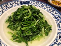 鸡毛菜-宁波状元楼酒店(和义路店)