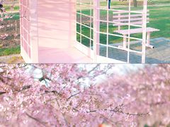 -上海辰山植物园