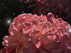 -汇龙潭
