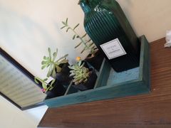 -田记宫廷奶酪
