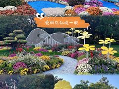 -上海共青森林公园