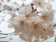 -苏州上方山国家森林公园