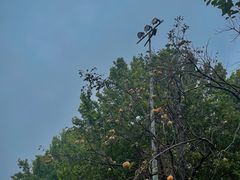 -万柳高尔夫俱乐部