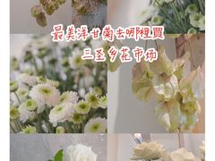 -三圣花乡旅游区