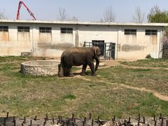 -西安秦岭野生动物园