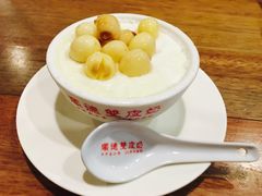 热双皮奶-正德顺順德雙皮奶(中信店)