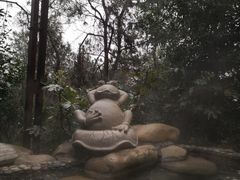 -天目湖涵田半山温泉