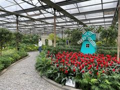 -南宫五洲植物乐园