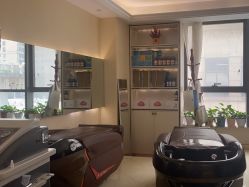 -碧莲盛·不剃发植发