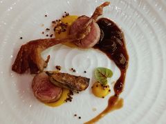 -蝶舍·MAISON PAPILLON