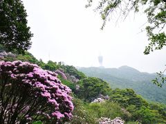 -梧桐山风景名胜区