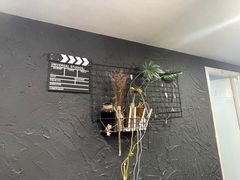 -壹迦桌游·血染钟楼剧本杀狼人杀