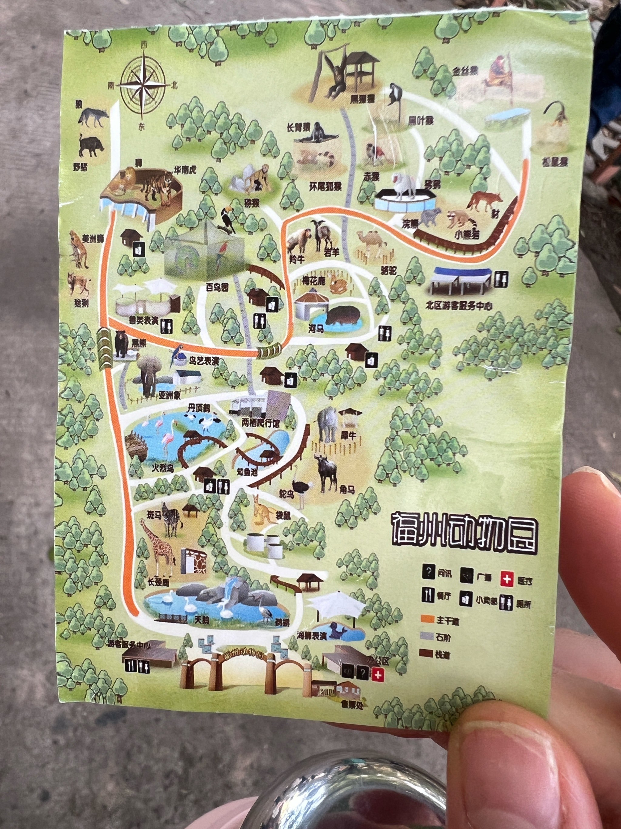 30元的福州动物园游玩一整天