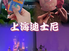 -上海迪士尼度假区