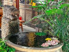 -三道苗苗鱼·美蛙黄辣丁(八里店)