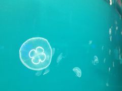 -多彩贵州城极地海洋世界